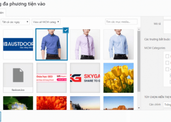 Quản lý hình ảnh trong WordPress và 10 Plugin tối ưu và quản lý hình ảnh một cách khoa học.