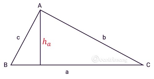 Tính diện tích tam giác thường