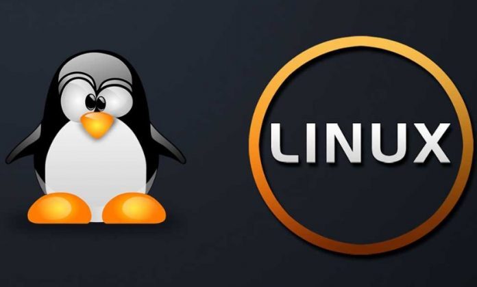 XEM】Các lệnh cơ bản trong linux