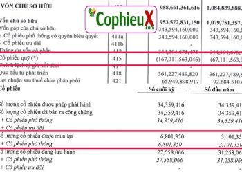 Cổ phiếu quỹ là gì? Lợi ích khi cty mua lại cổ phiếu quỹ là gì? 9 Co Phieu Quy La Gi 5 1