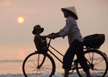 Dan Y Bai Van Ta Me 10 Bai Van Mau Ta Ve Me Hay Nhat 2