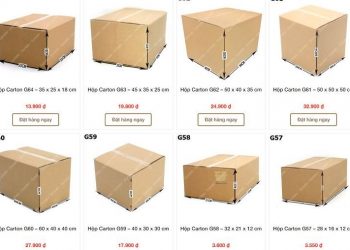 Thung Carton Gia Re 1