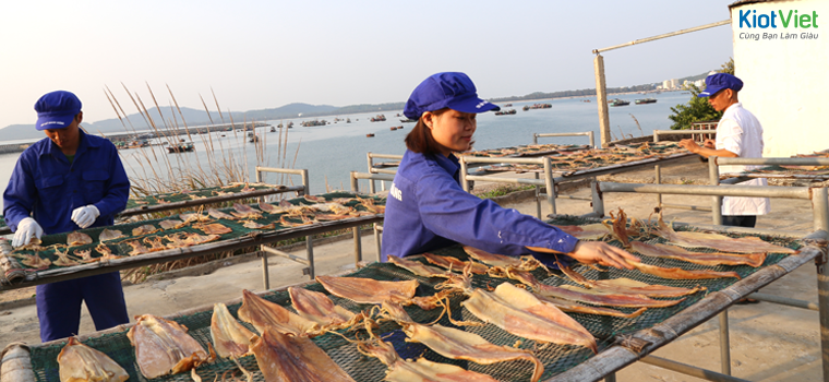 kinh nghiệm kinh doanh hải sản khô