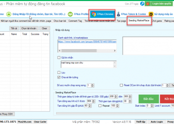 Seeding Bai Dang Marketplace