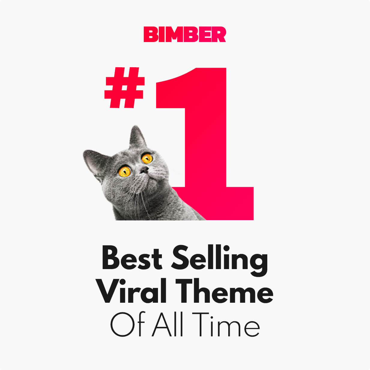 Bimber - Best Selling Viral WordPress Theme