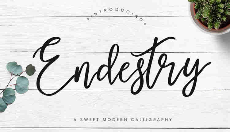 Endestry Modern Calligraphy Font