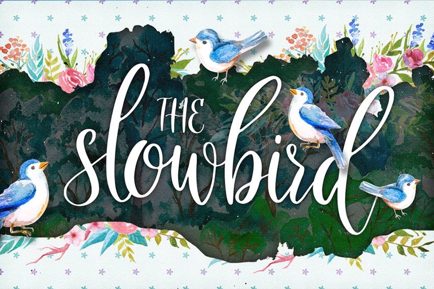 The Slowbird Typeface